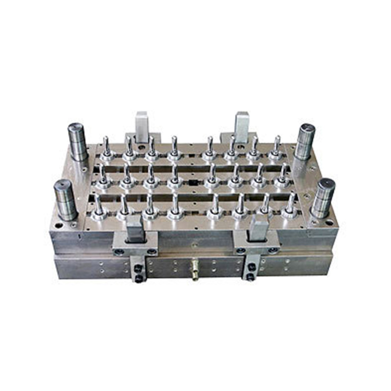 24-Cavity Preform Mold(Mould)