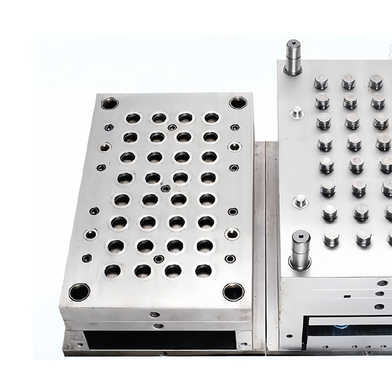 Bottle Cap Mold(Mould)